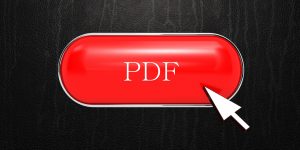 pdf form builder